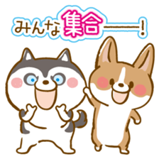 Siberian Husky and Welsh Corgi sticker #8941960