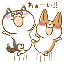 Siberian Husky and Welsh Corgi sticker #8941981