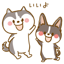 Siberian Husky and Welsh Corgi sticker #8941982
