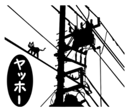 Use? Black cat silhouette stickers sticker #8942944