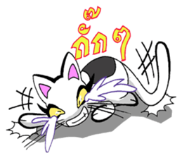 Cat frame sticker #8946387