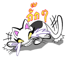 Cat frame sticker #8946387