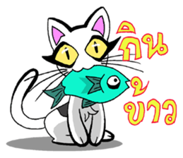 Cat frame sticker #8946388