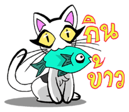 Cat frame sticker #8946388