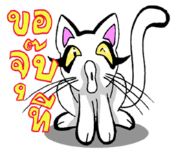 Cat frame sticker #8946389