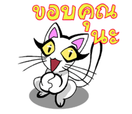 Cat frame sticker #8946390