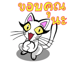 Cat frame sticker #8946390