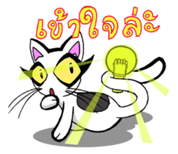 Cat frame sticker #8946392