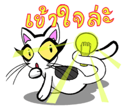 Cat frame sticker #8946392