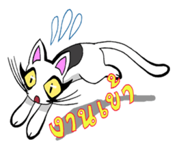 Cat frame sticker #8946395