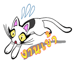 Cat frame sticker #8946395