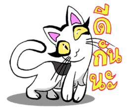 Cat frame sticker #8946401