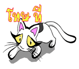 Cat frame sticker #8946404