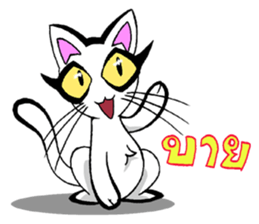 Cat frame sticker #8946405