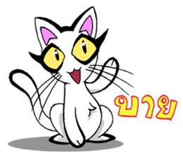 Cat frame sticker #8946405