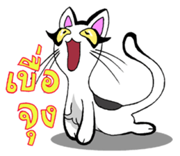 Cat frame sticker #8946406