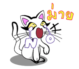 Cat frame sticker #8946407