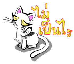 Cat frame sticker #8946408