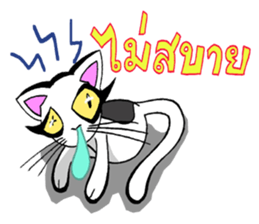 Cat frame sticker #8946409