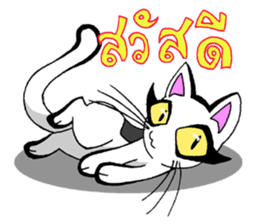 Cat frame sticker #8946413