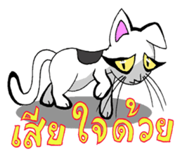 Cat frame sticker #8946415