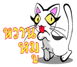 Cat frame sticker #8946416