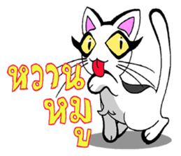 Cat frame sticker #8946416