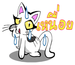 Cat frame sticker #8946417