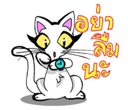 Cat frame sticker #8946418