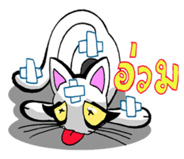 Cat frame sticker #8946419