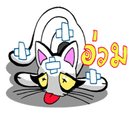 Cat frame sticker #8946419