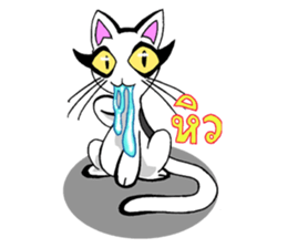 Cat frame sticker #8946420