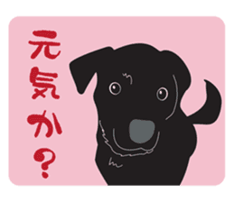 Fujishiro's dog Apollo sticker #8947304