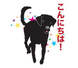 Fujishiro's dog Apollo sticker #8947308
