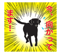 Fujishiro's dog Apollo sticker #8947311