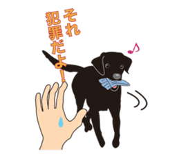 Fujishiro's dog Apollo sticker #8947327