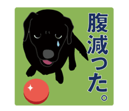 Fujishiro's dog Apollo sticker #8947339