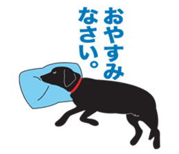 Fujishiro's dog Apollo sticker #8947340