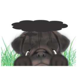 Meng Department Daisakusen04 sticker #8949422