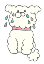 Mocota sticker sticker #8949844