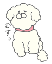 Mocota sticker sticker #8949851