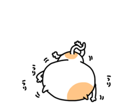 Fukushima cat 4 sticker #8950135