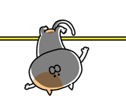 Fukushima cat 4 sticker #8950153