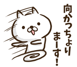 Hiroshima dialect cat honorific ver. sticker #8952000