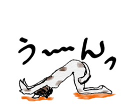 Cool cat girls sticker #8953531