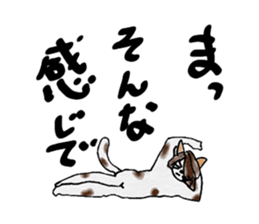 Cool cat girls sticker #8953533