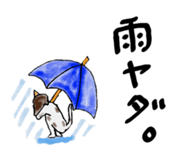 Cool cat girls sticker #8953555