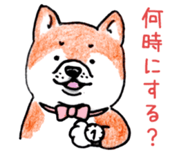 SHIBAINU&PUG greeting sticker sticker #8954041