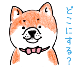 SHIBAINU&PUG greeting sticker sticker #8954042