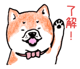 SHIBAINU&PUG greeting sticker sticker #8954043